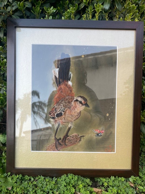 Producto - Dibujo con pastel tiza de un ave - 3