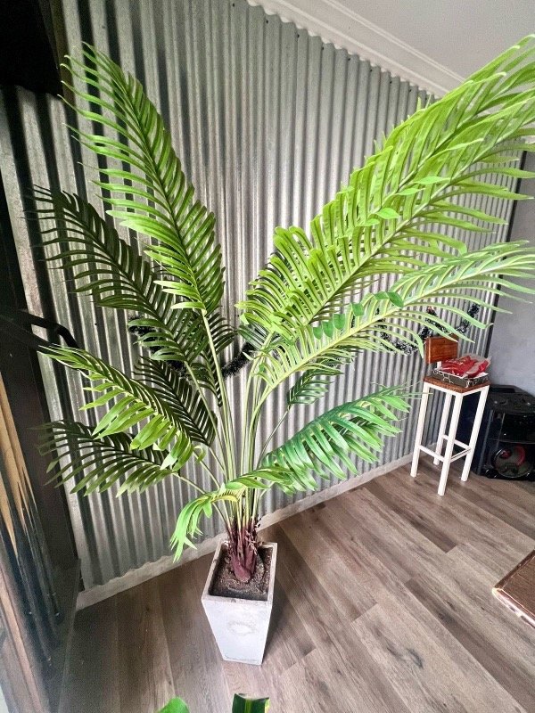 Producto - Planta Artificial Areca 1.60 mt