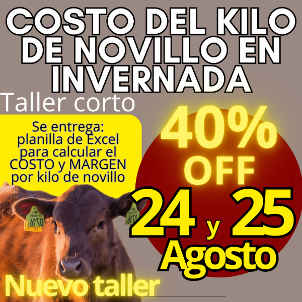 Producto - Taller corto: cálculo del costo del kilo de novillo
