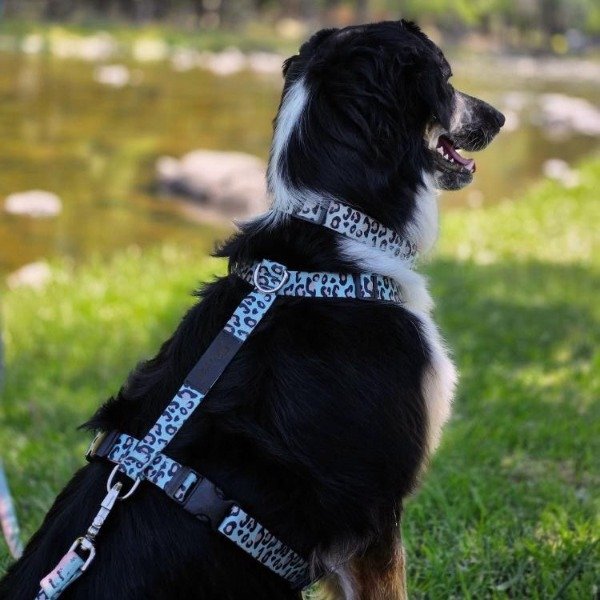 Producto - Pretal H Print Aqua