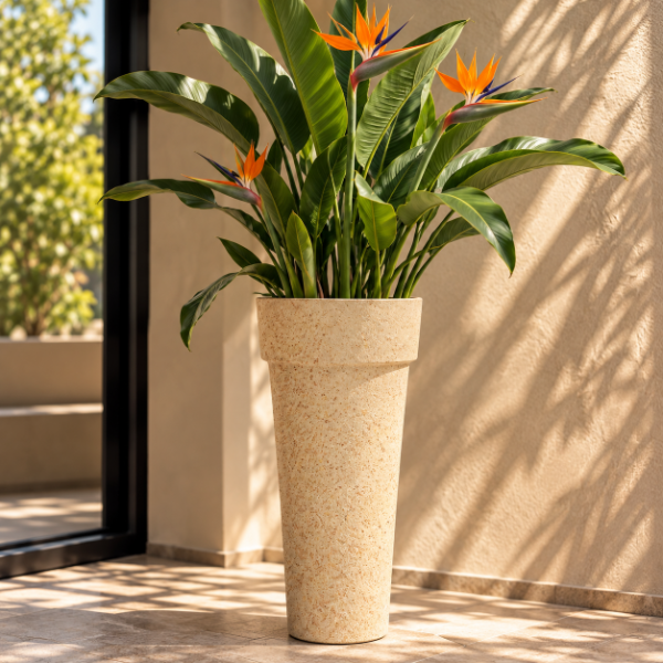 Producto - Vaso alto liso