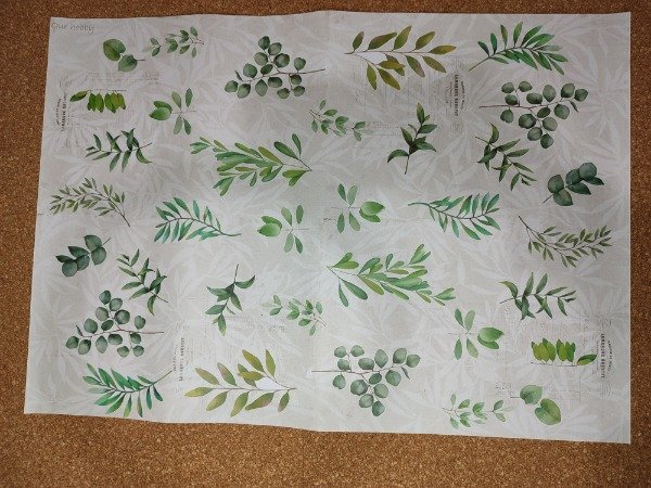 Producto - Lámina botanica