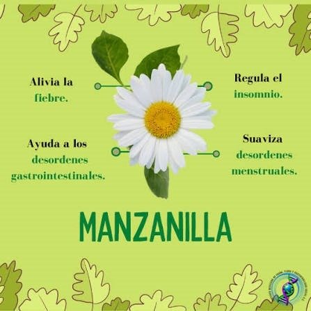 Producto - Manzanilla Flor x 100 Gr.
