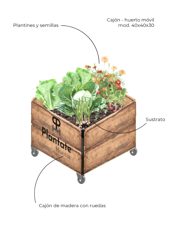 Miniatura de producto - 6