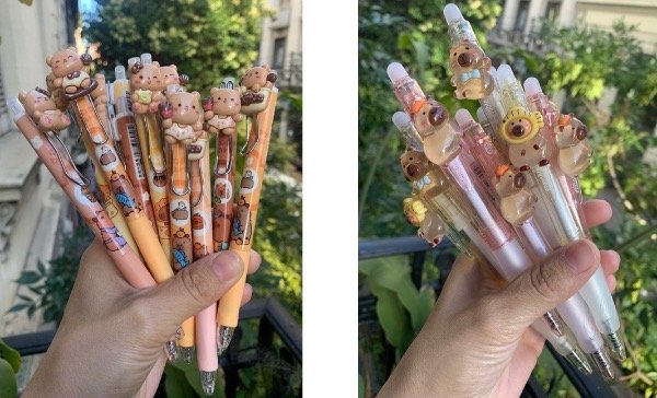 Producto - 12 lapiceras capibara