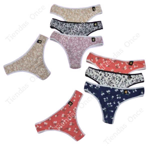 Producto - Colales MOLEY nacional - Por docena