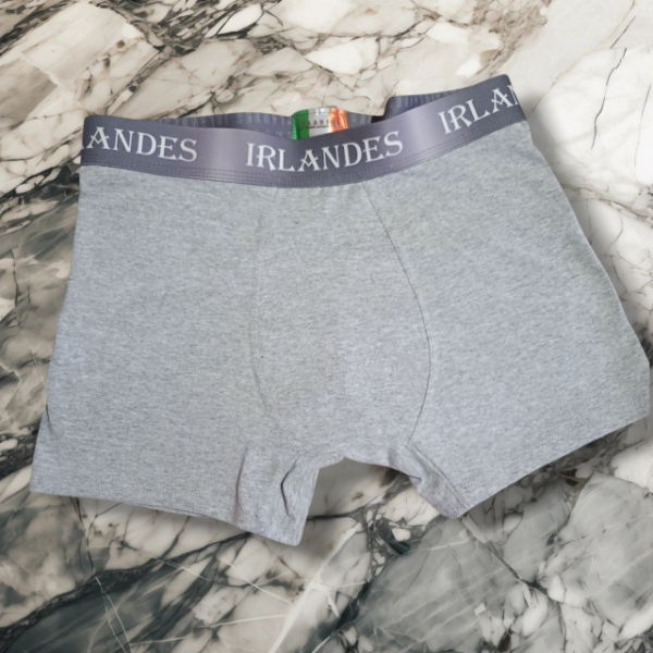Producto - Boxer irlandés