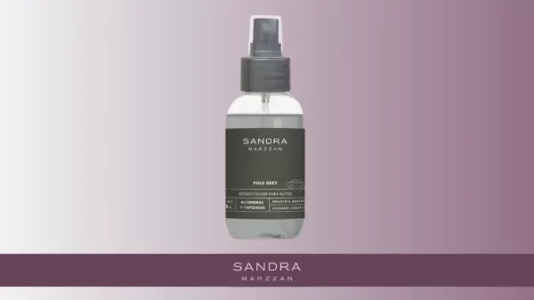 Producto - AROMATIZADOR PARA AUTO 120 ML  Polo grey