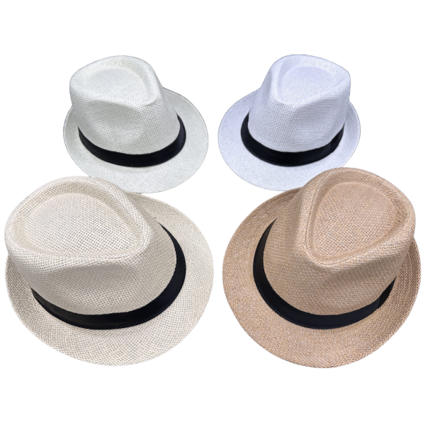 Producto - Sombrero panameño premium x1