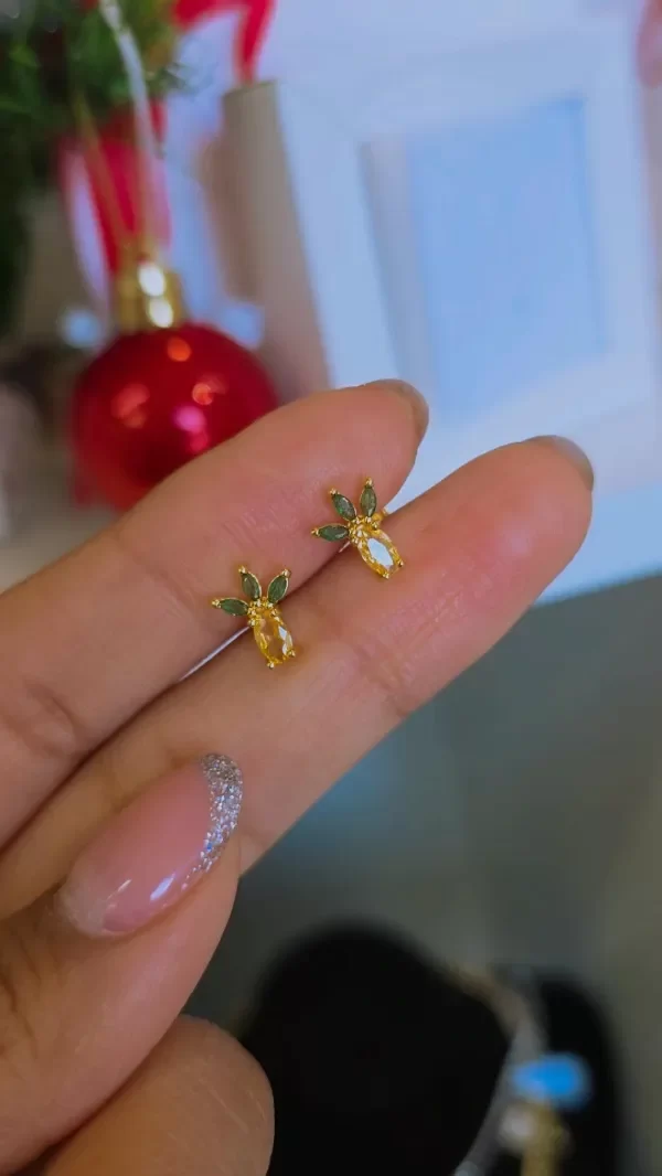 Producto - Aros piña AD