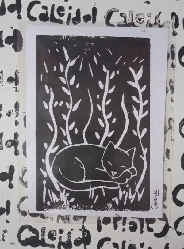 Producto - Gatito