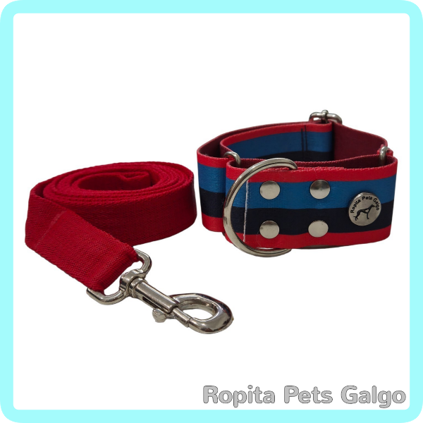 Producto - Conjunto Collar y Correa Vicente - 0
