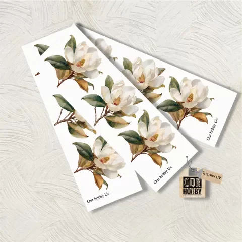 Producto - TRANSFER UV 079