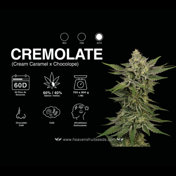 Producto - HEAVENS FRUIT CREMOLATE