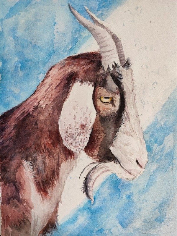 Producto - Goat