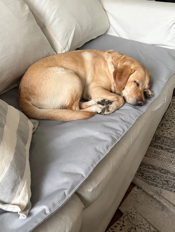 Producto - Pillow pet - 0