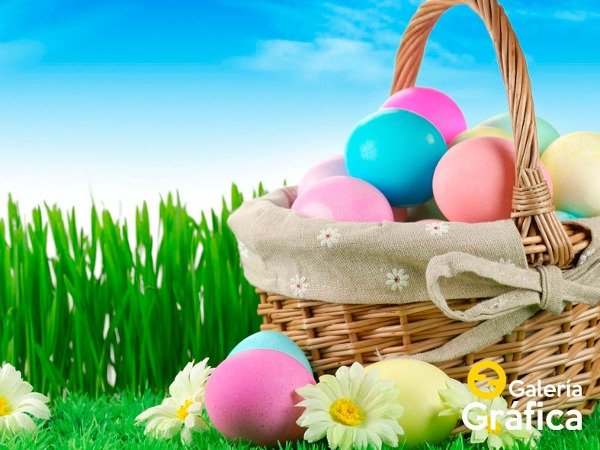 Producto - Pascuas FS 05