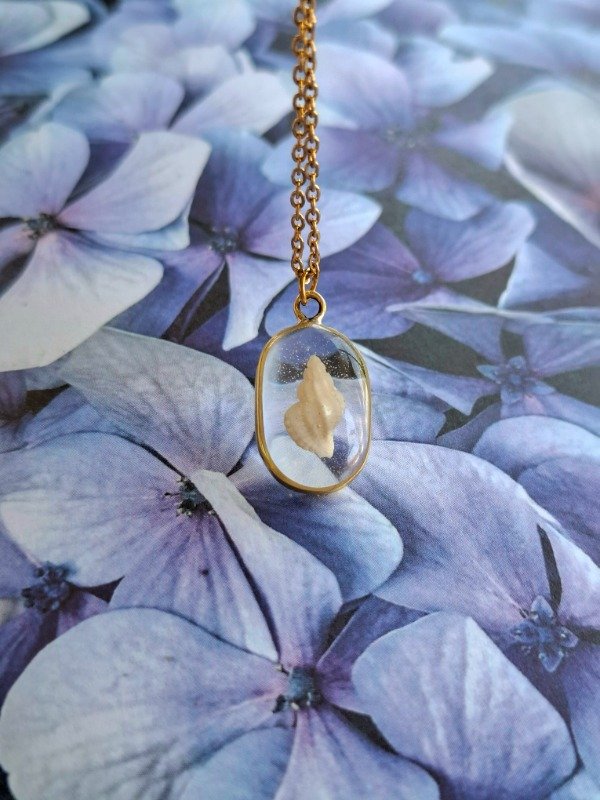 Producto - caracol dorado