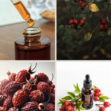 Producto - Aceite de Rosa Mosqueta orgánico y puro