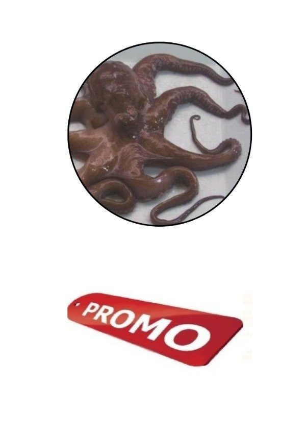 Producto - Pulpo español de 2 a 3 kilos (x kilo)