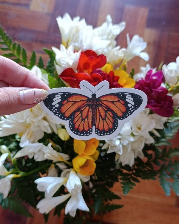 Producto - Mariposa Naranja Transparente