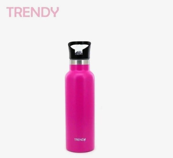 Producto - Botella Termica Trendy 500ml