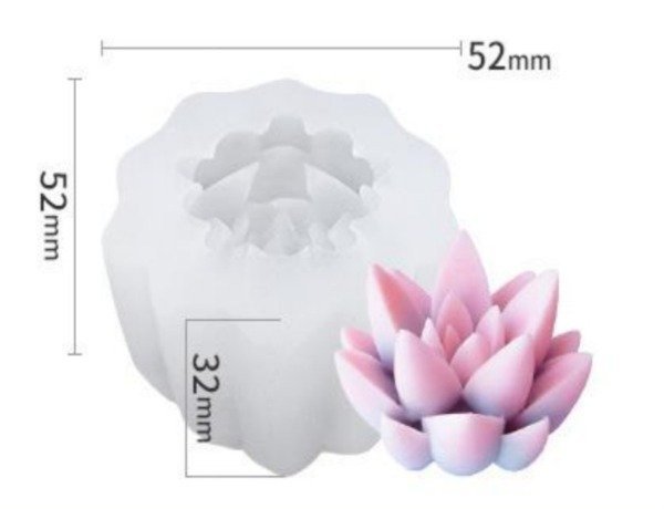 Producto - SUCULENTA H42-008G8