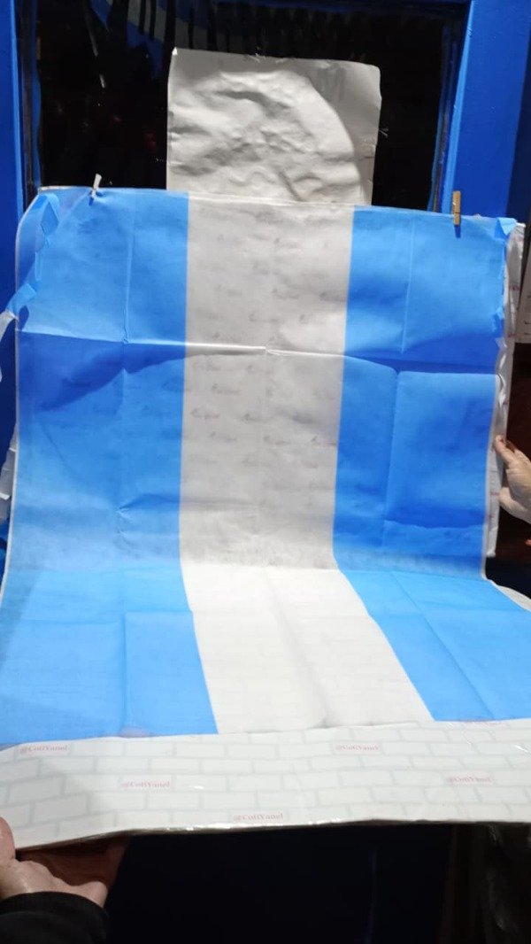 Producto - Bandera argentina Friselina 0,67x0,90 - 0