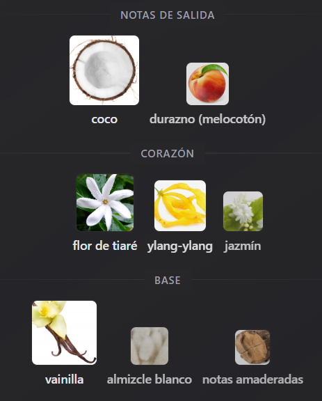 Producto - MONTAIGNE COCO - 2