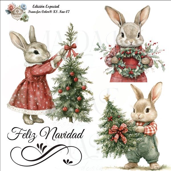 Producto - TRANSFER COLOR XS 07