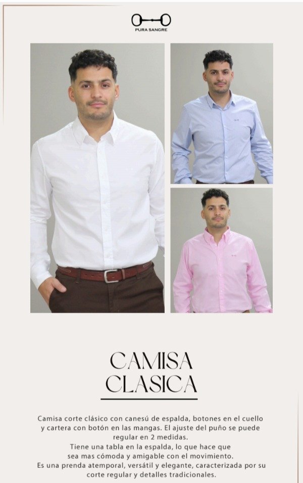 Producto - Camisa Clásica Pura Sangre