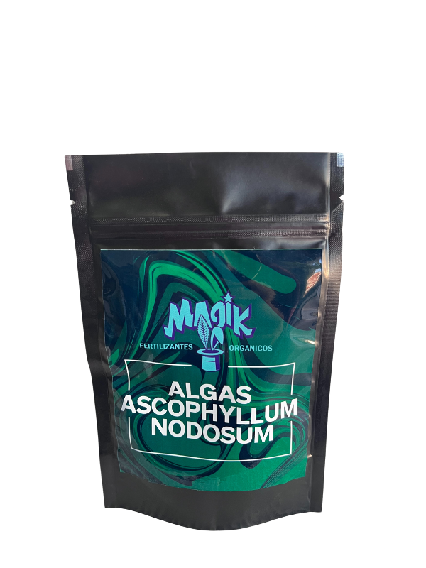 Producto - Algas ascophylum nodosum MagiK 100G (solubles en agua)