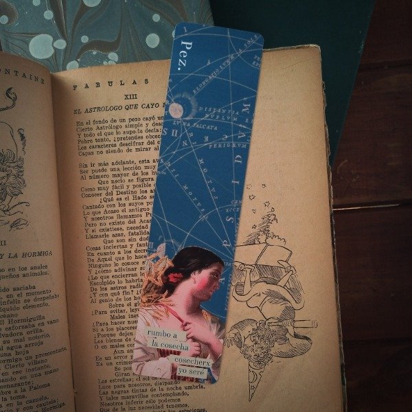 Producto - Señalador Cosechera