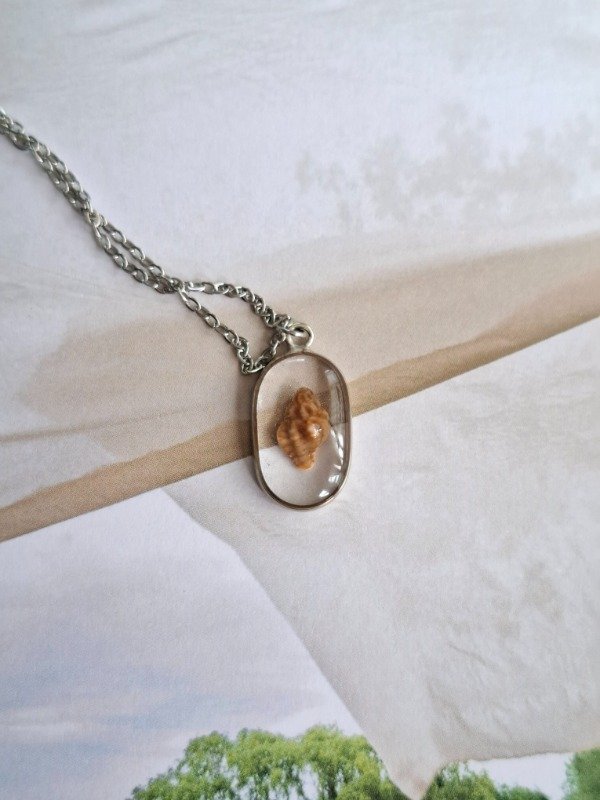 Producto - al sol plateado