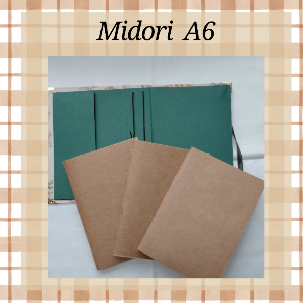 Producto - Midori de Viaje HONGOS - 4