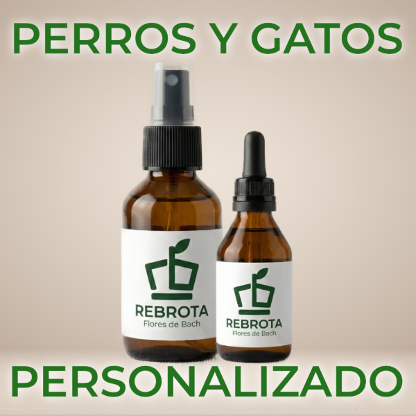 Producto - Fórmula Personalizada - Perros y Gatos