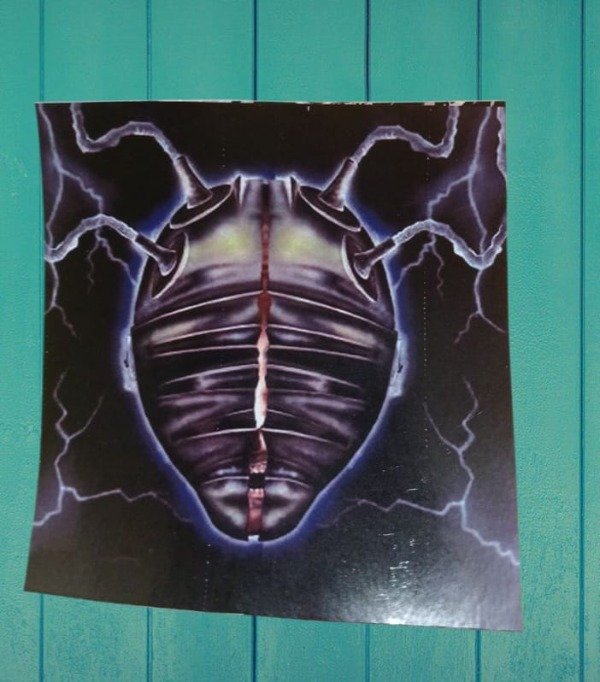 Producto - Stickers callejeros 6