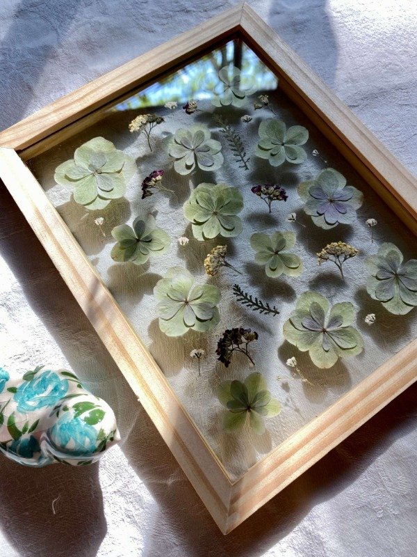 Producto - Hortensia I