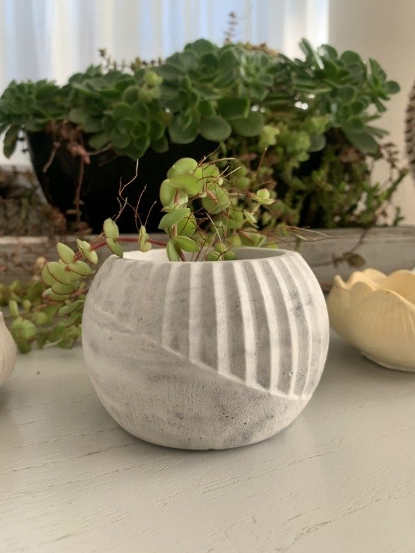Producto - Contenedor Decorativo de Yeso Cerámico