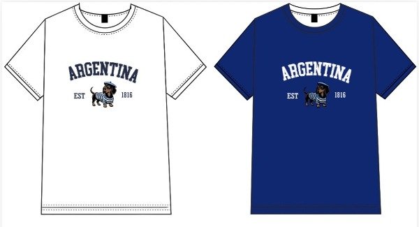 Producto - REMERA ARG SALCHI