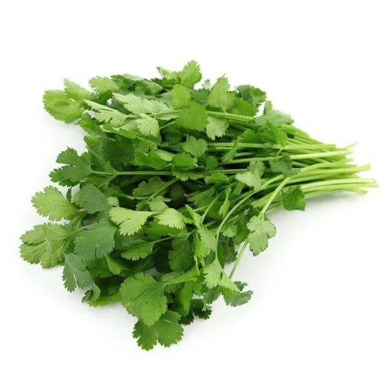 Producto - CILANTRO (unidad)
