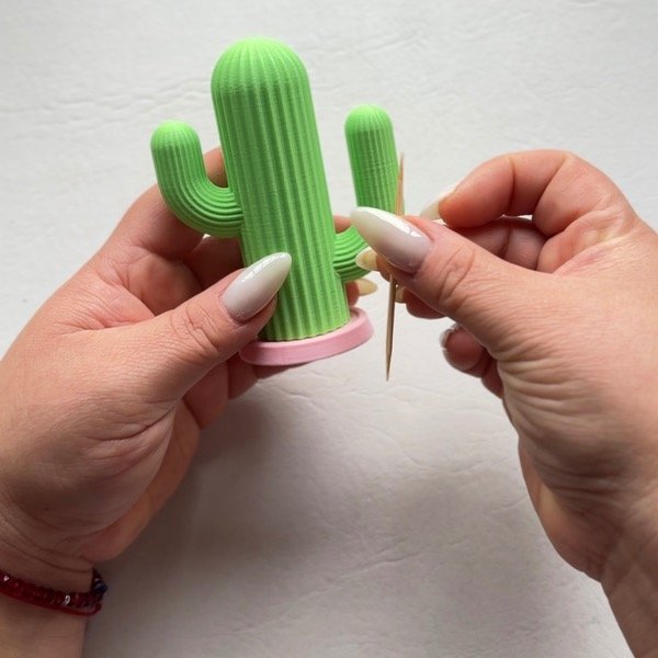 Producto - PINCHADIENTES CACTUS