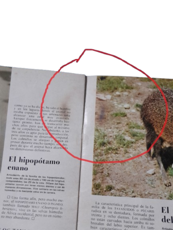 Miniatura de producto - 7