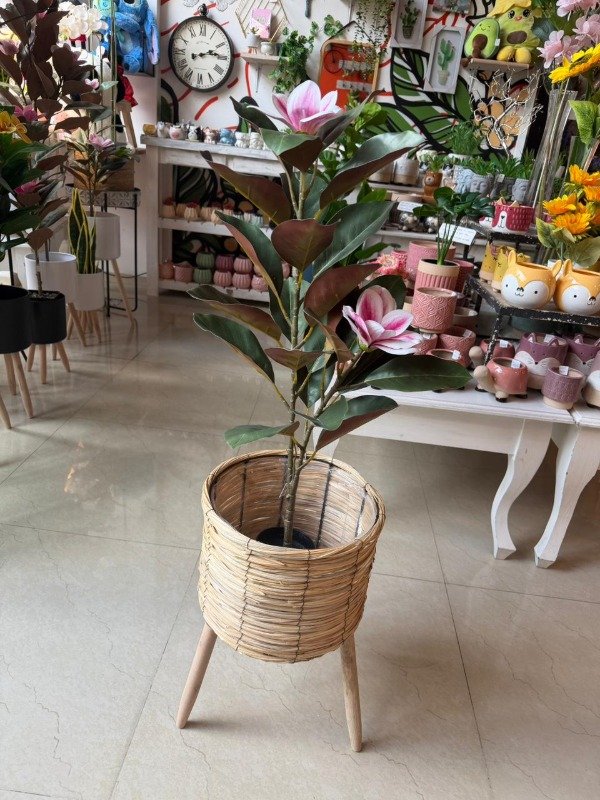Producto - Pie Nórdico de ratán 45cm (Efectivo: 46.000)