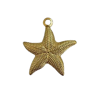 Producto - Dije Star Beach