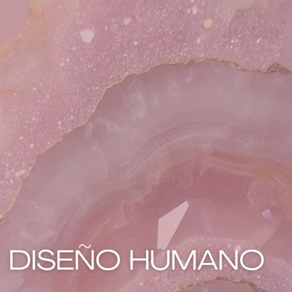 Producto - Diseño humano