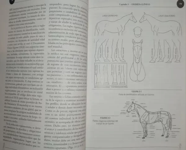 Producto - Andreatta: Semiología en Ciencias Veterinarias - 6