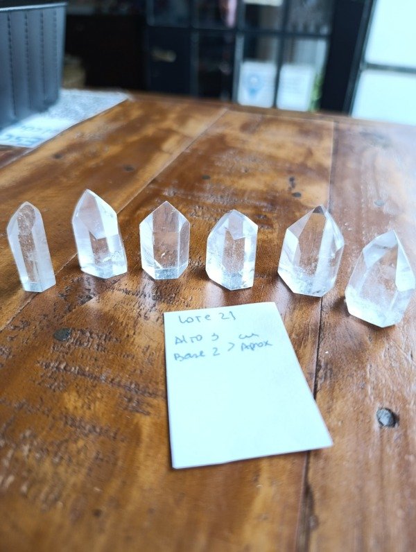 Producto - Lote 21 puntas Tameana x6