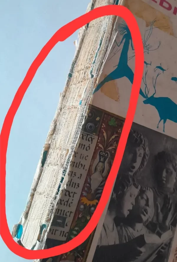 Miniatura de producto - 7