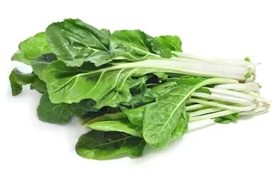Producto - ACELGA GRANDE